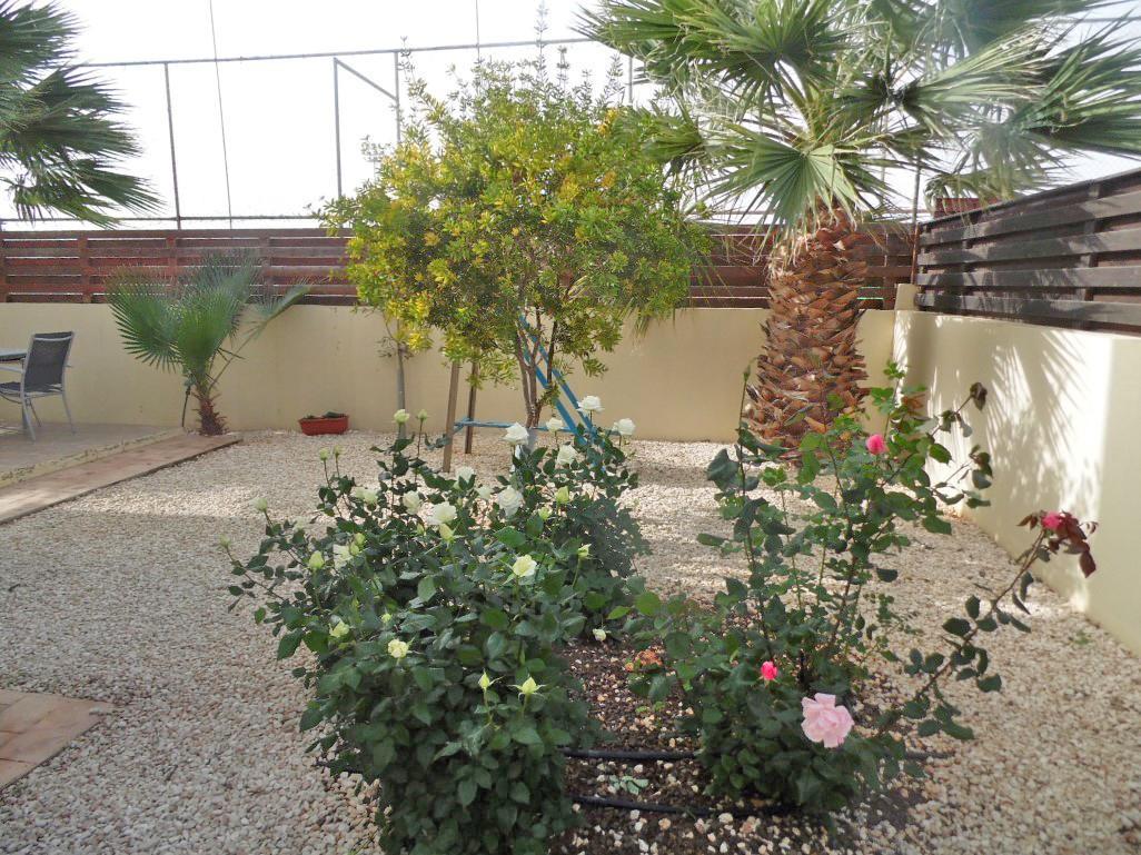 Villa Favor - 3 Bed With Pool Close To Nissi Beach Ajia Napa Zewnętrze zdjęcie